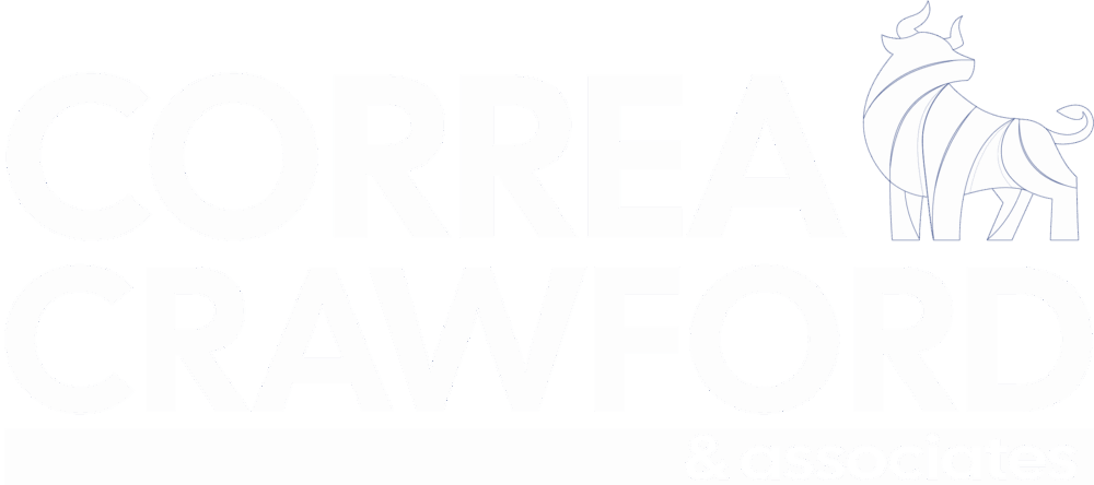 San Antonio's Prefered Dual Country Accounting Services